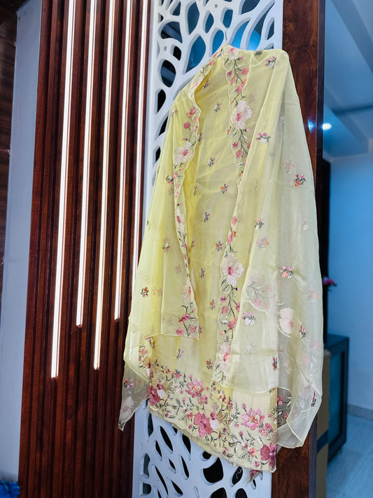 Multi Embroidered Modal Silk With Sequence Highlights